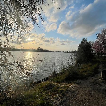 Lo Riu Appartement Deltebre Buitenkant foto